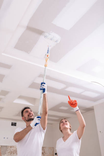 Marshall, TX Mold Removal Company